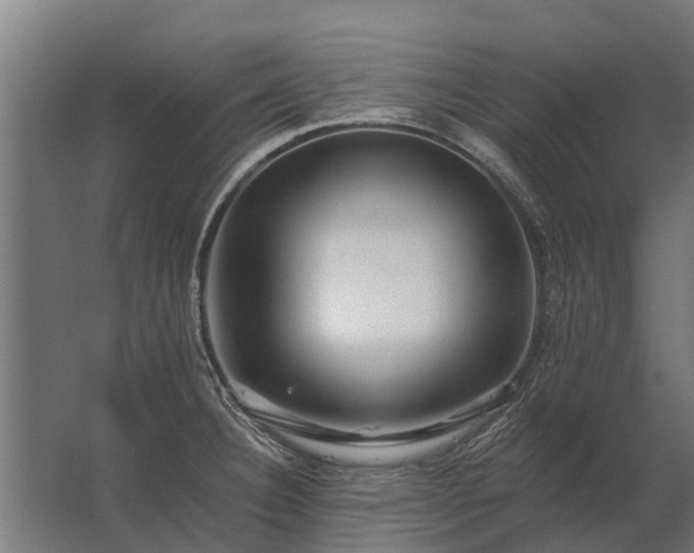 X0000062791332200512290212