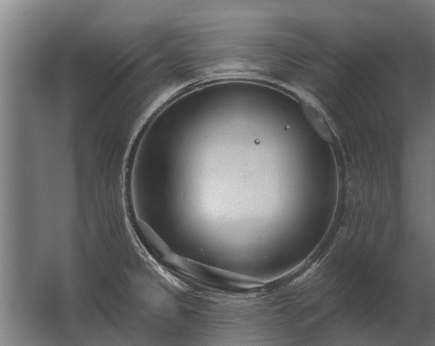 X0000062791333200512290212