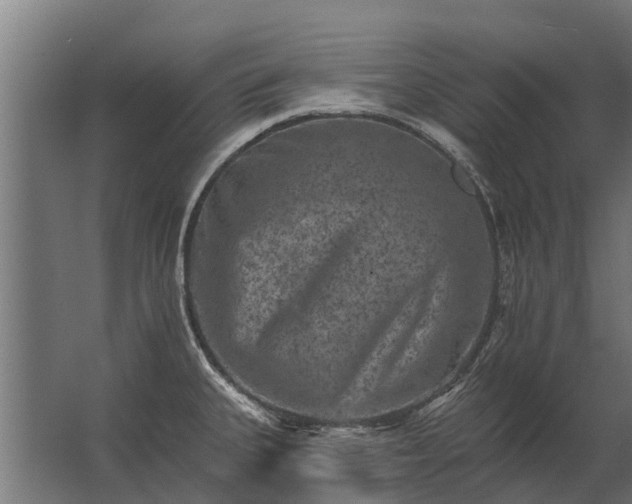 X0000062791335200512290213