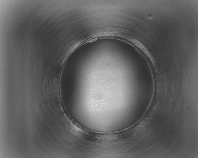 X0000062791337200512290213