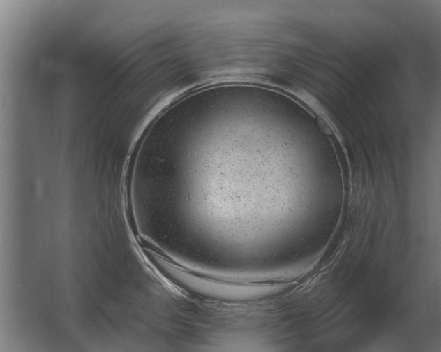 X0000062791341200512290213