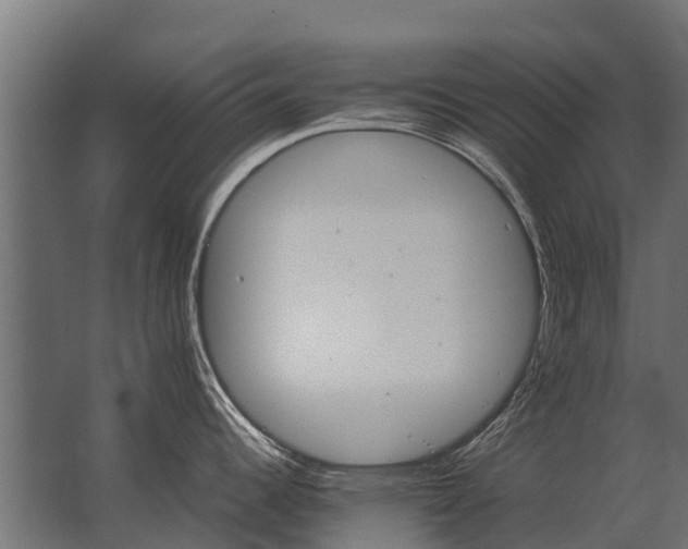 X0000062791344200512290213