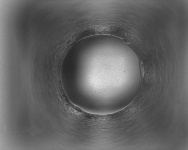 X0000062791345200512290212