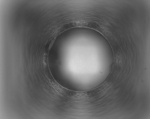 X0000062791346200512290212