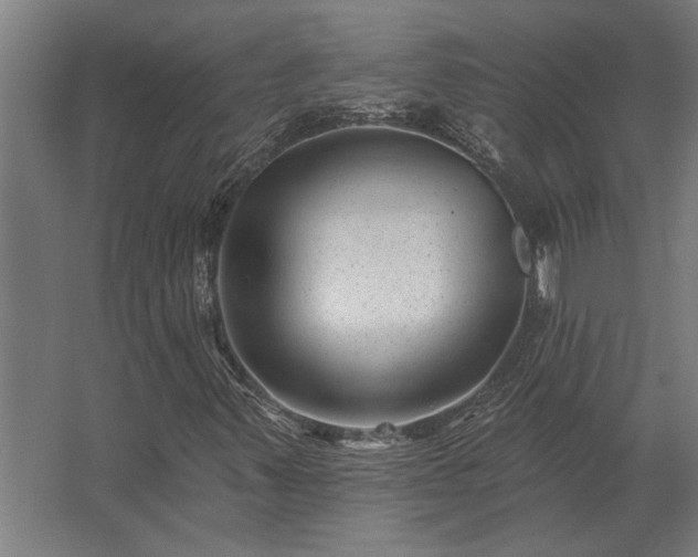 X0000062791347200512290212