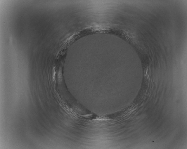 X0000062791348200512290212