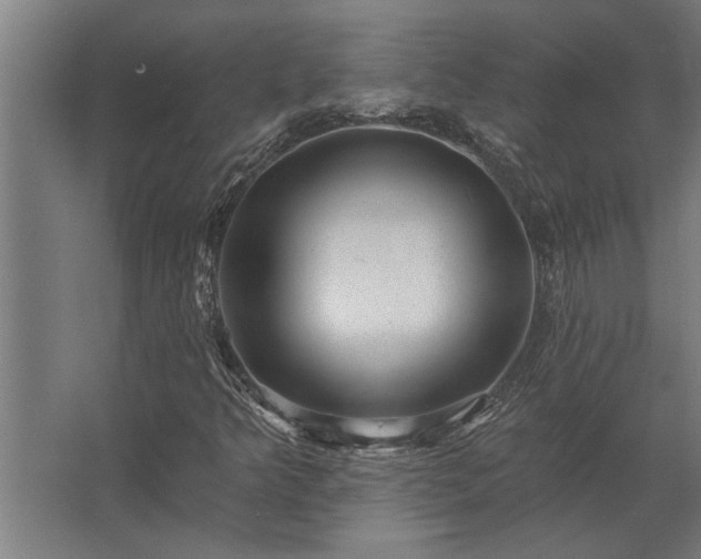 X0000062791349200512290212