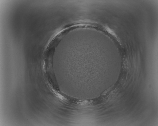 X0000062791352200512290212