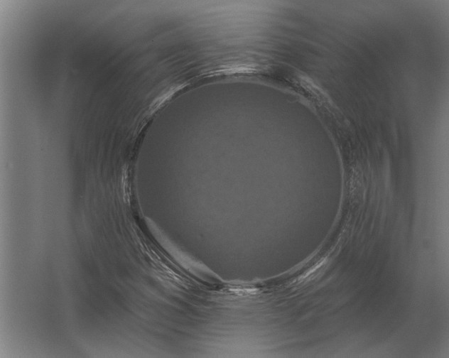 X0000062791353200512290212