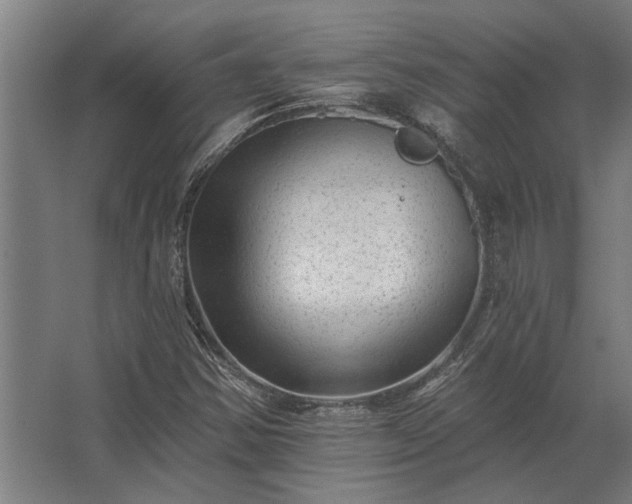 X0000062791354200512290212