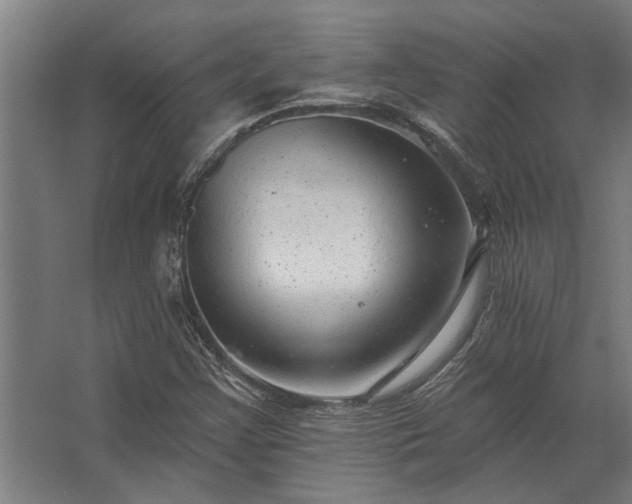 X0000062791355200512290212