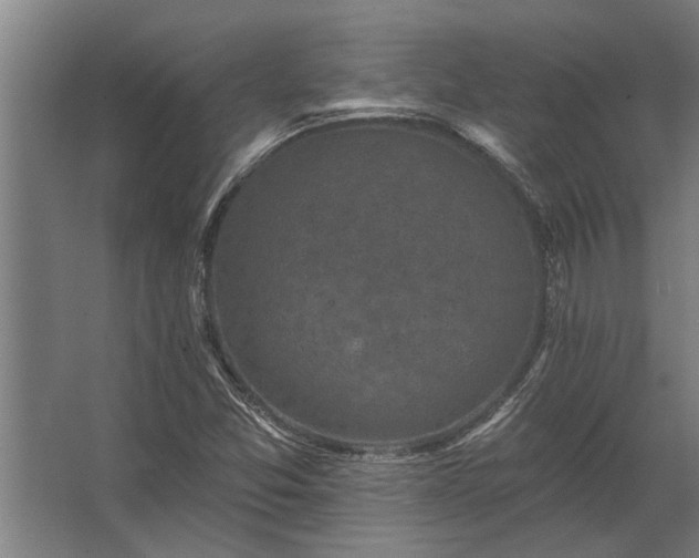 X0000062791357200512290212