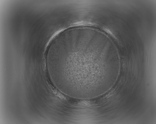 X0000062791358200512290212