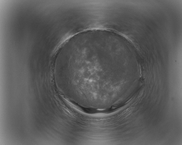 X0000062791359200512290212