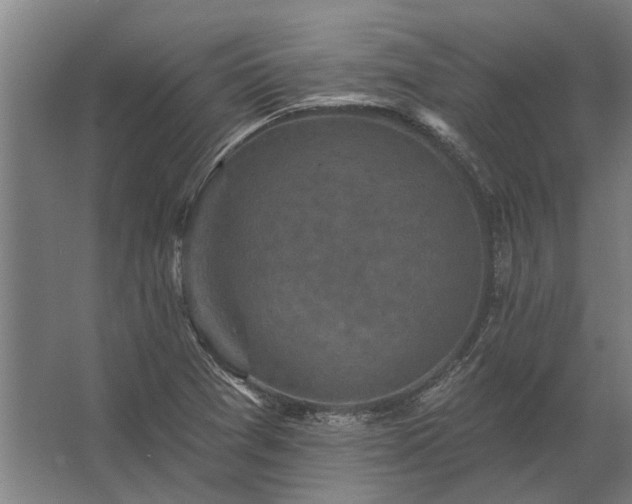 X0000062791361200512290212