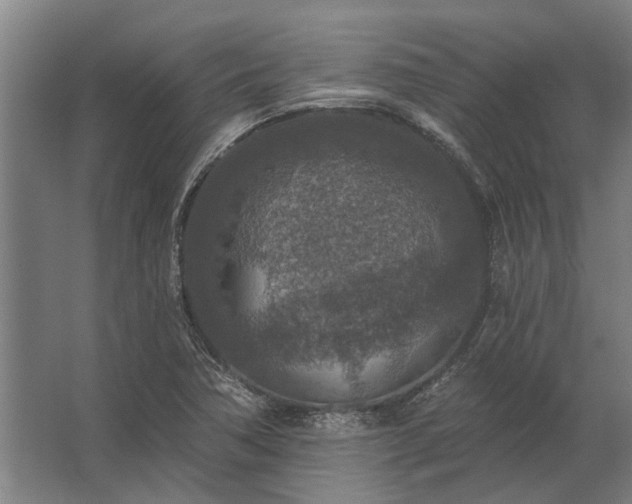 X0000062791362200512290212