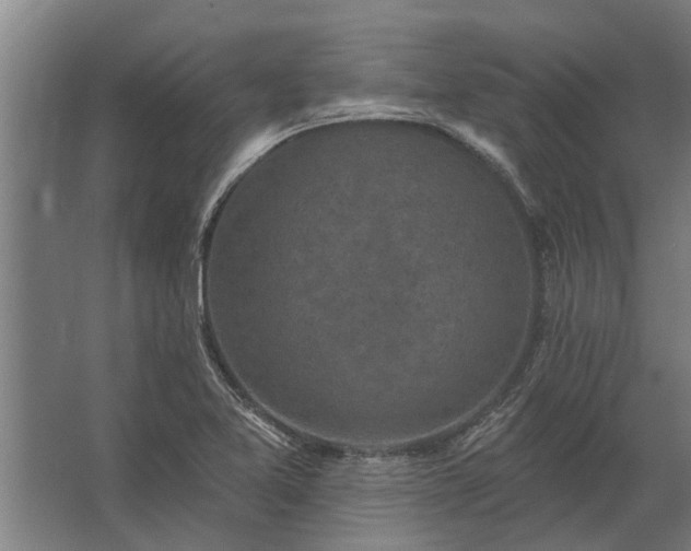 X0000062791365200512290212