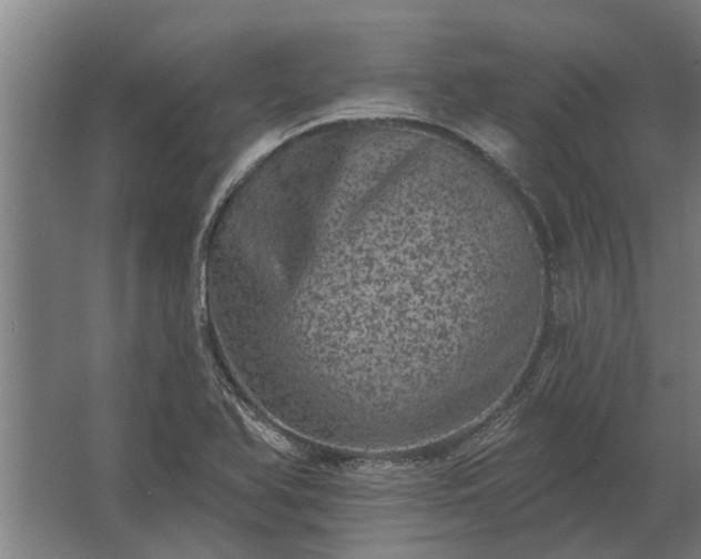 X0000062791366200512290211