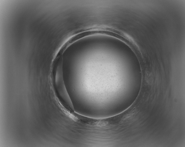 X0000062791368200512290211