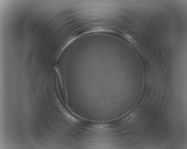 X0000062791369200512290211