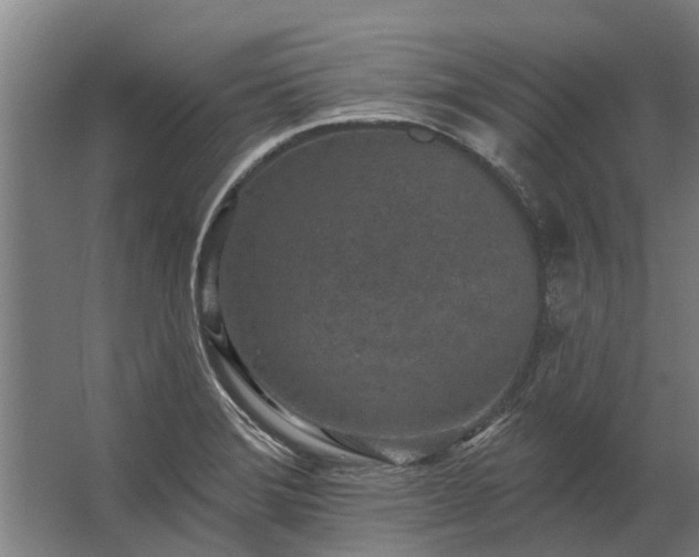 X0000062791372200512290211