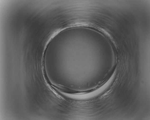 X0000062791373200512290211