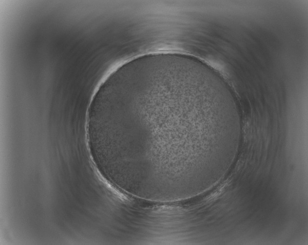 X0000062791374200512290211