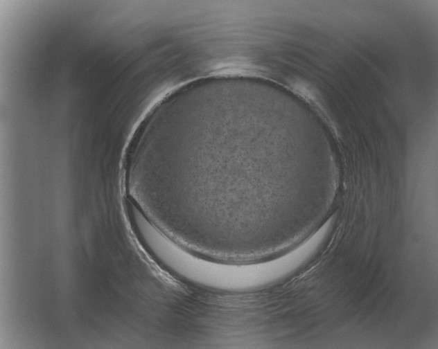 X0000062791376200512290211