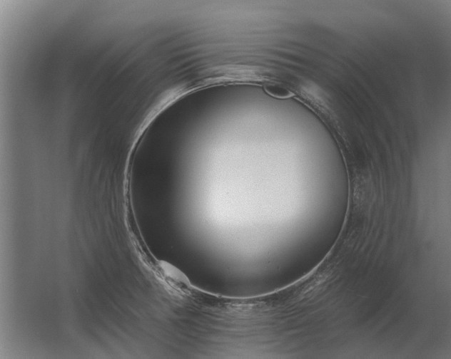 X0000062791378200512290211