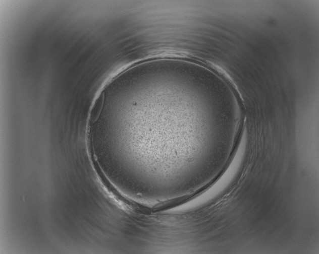 X0000062791379200512290211