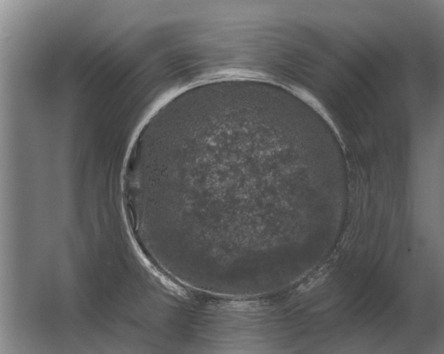 X0000062791381200512290211