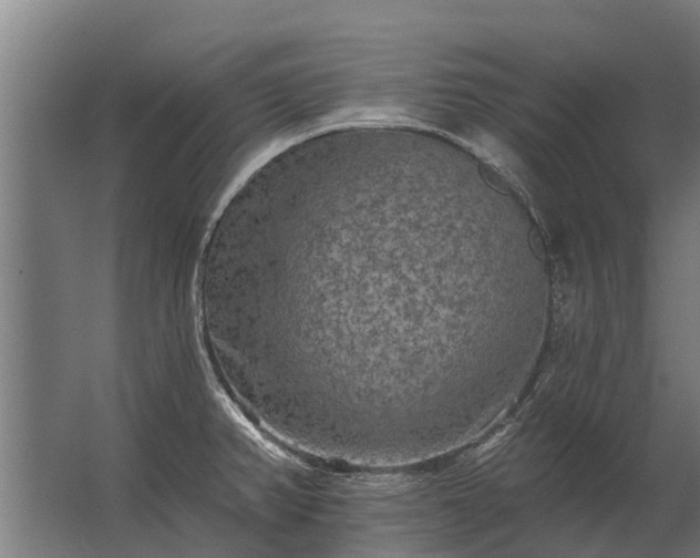 X0000062791382200512290211