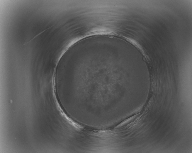 X0000062791383200512290211