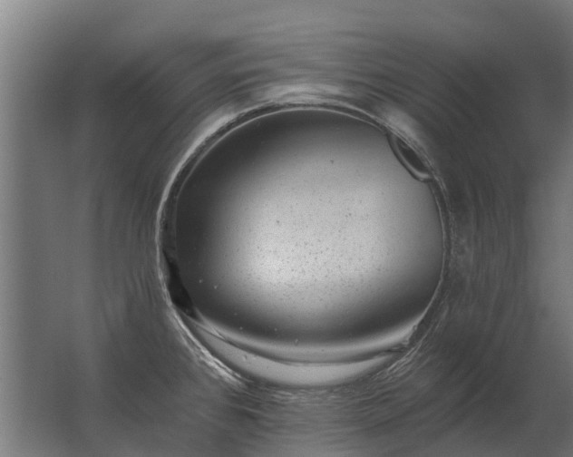 X0000062791384200512290211