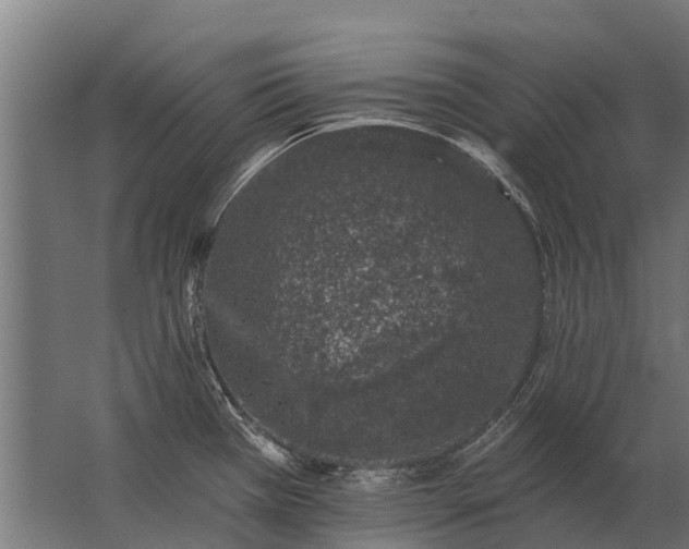 X0000062791385200512290211