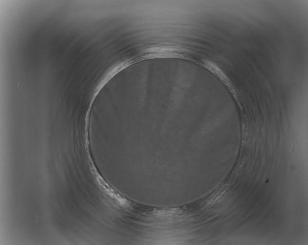 X0000062791386200512290211