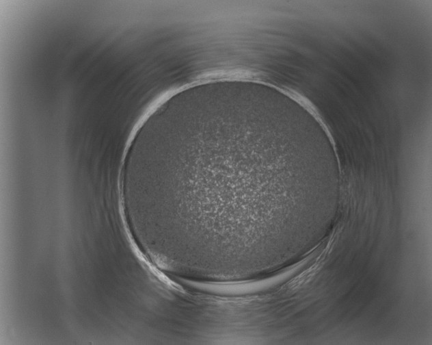 X0000062791389200512290211