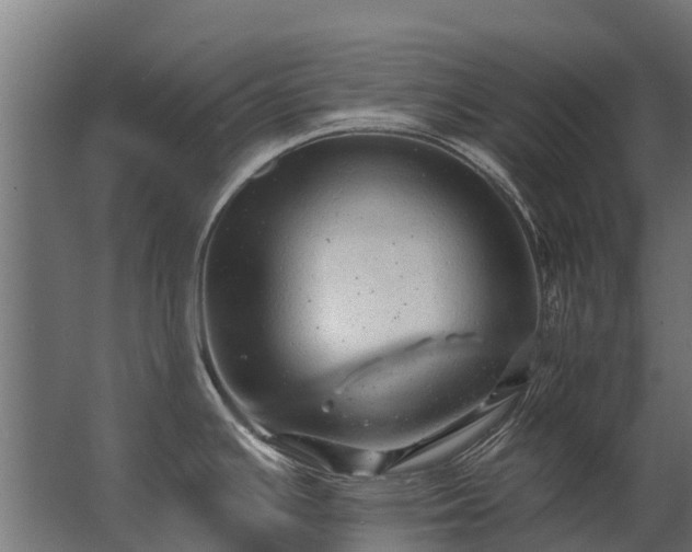 X0000062791391200512290211