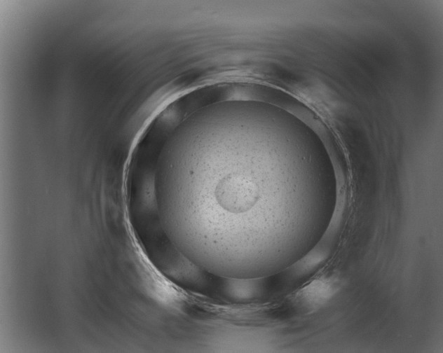 X0000062791392200512290211