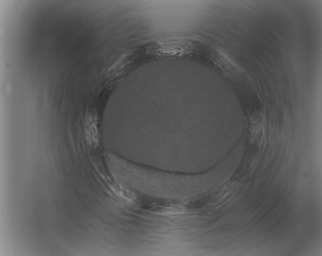 X0000062791394200512290210