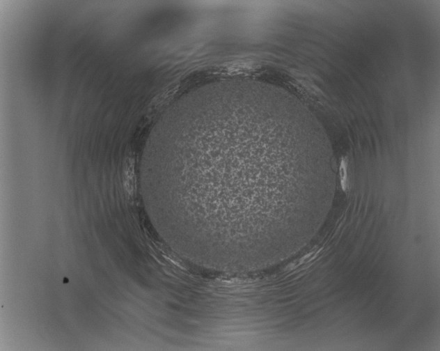 X0000062791395200512290210