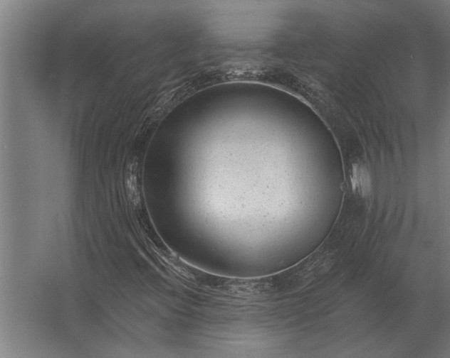 X0000062791396200512290210