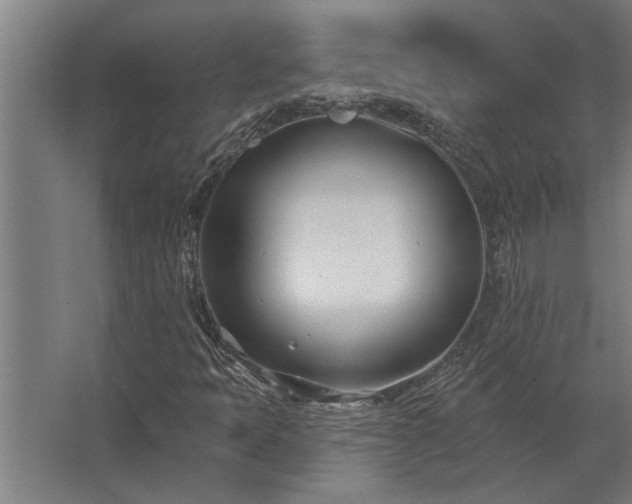 X0000062791397200512290210