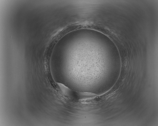 X0000062791398200512290210