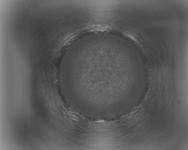 X0000062791399200512290210