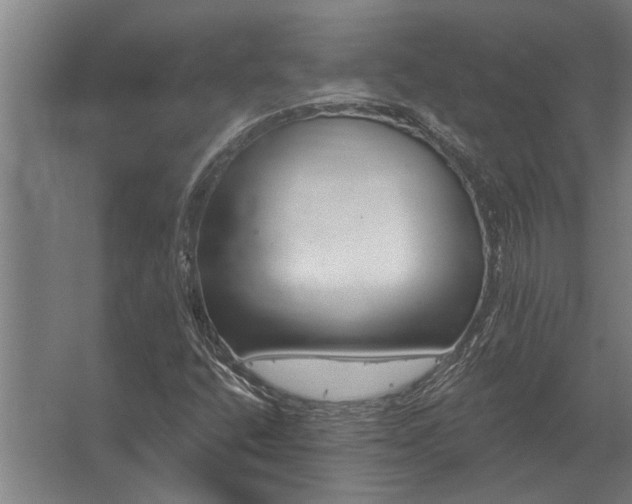 X0000062791400200512290210