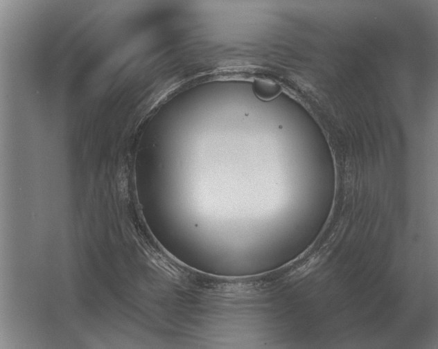 X0000062791401200512290210