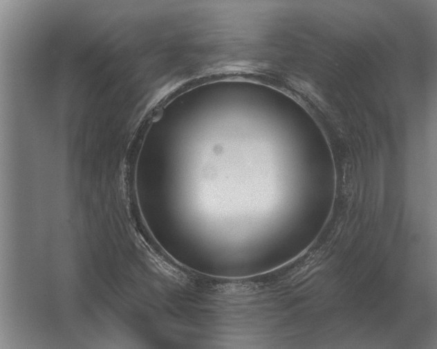 X0000062791404200512290210