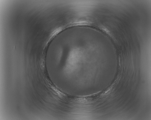 X0000062791405200512290210