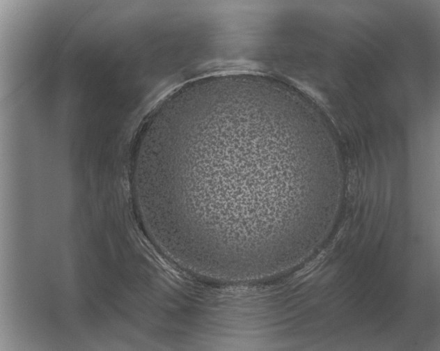 X0000062791407200512290210